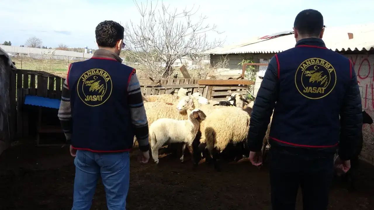 Manavgat’ta Hayvan Hırsızlığına Darbe! 2